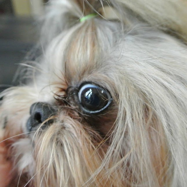 Proteção dos olhos