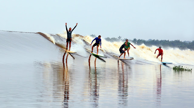 Tempat surfing di Sungai Kampar Ombak Bono di Riau