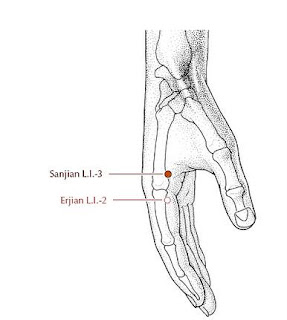 Acupuncture: LI - 3 ( Large Intestine-3)