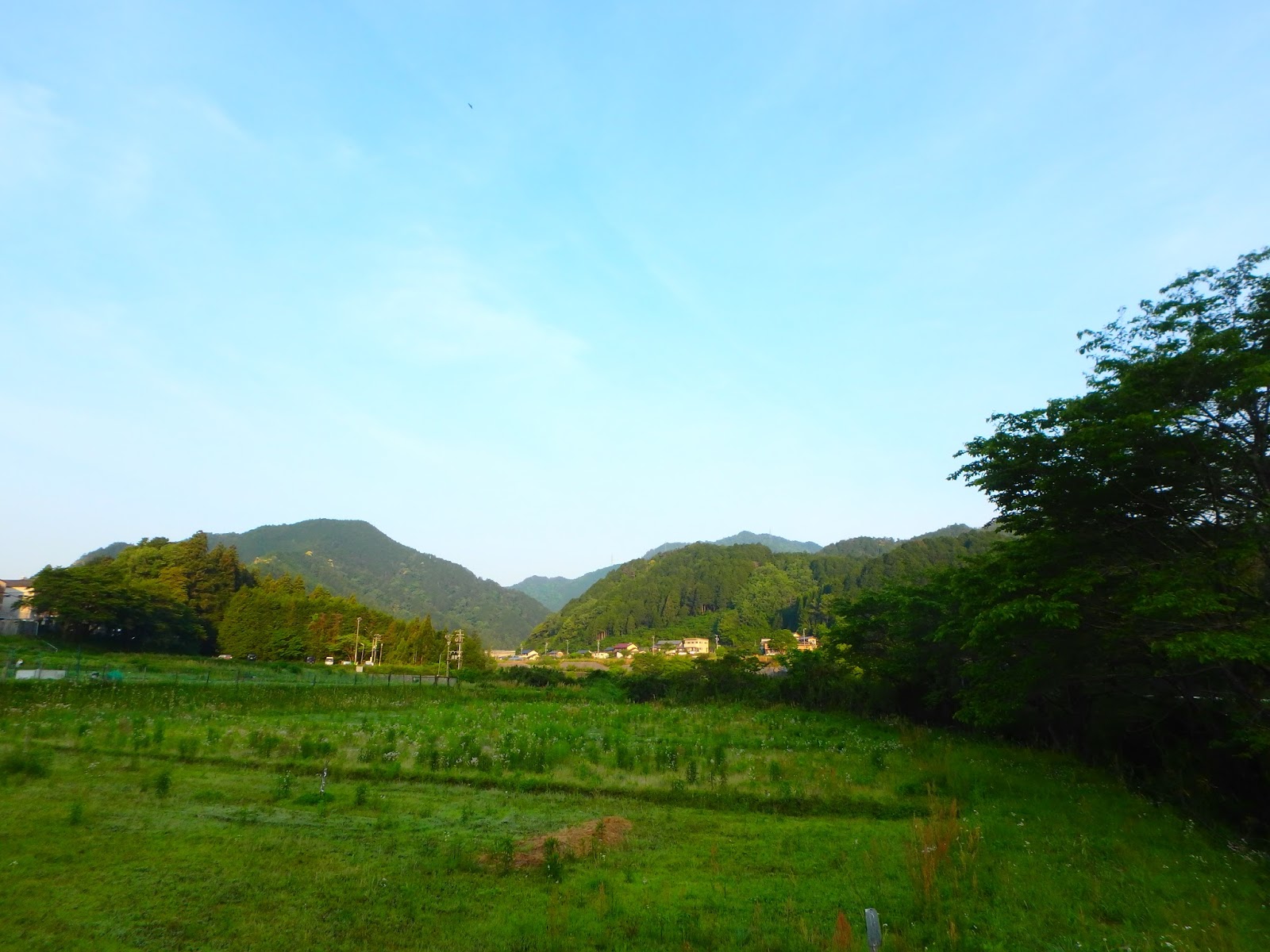 この川をさかのぼり 至難 長良川 サツキマス釣り