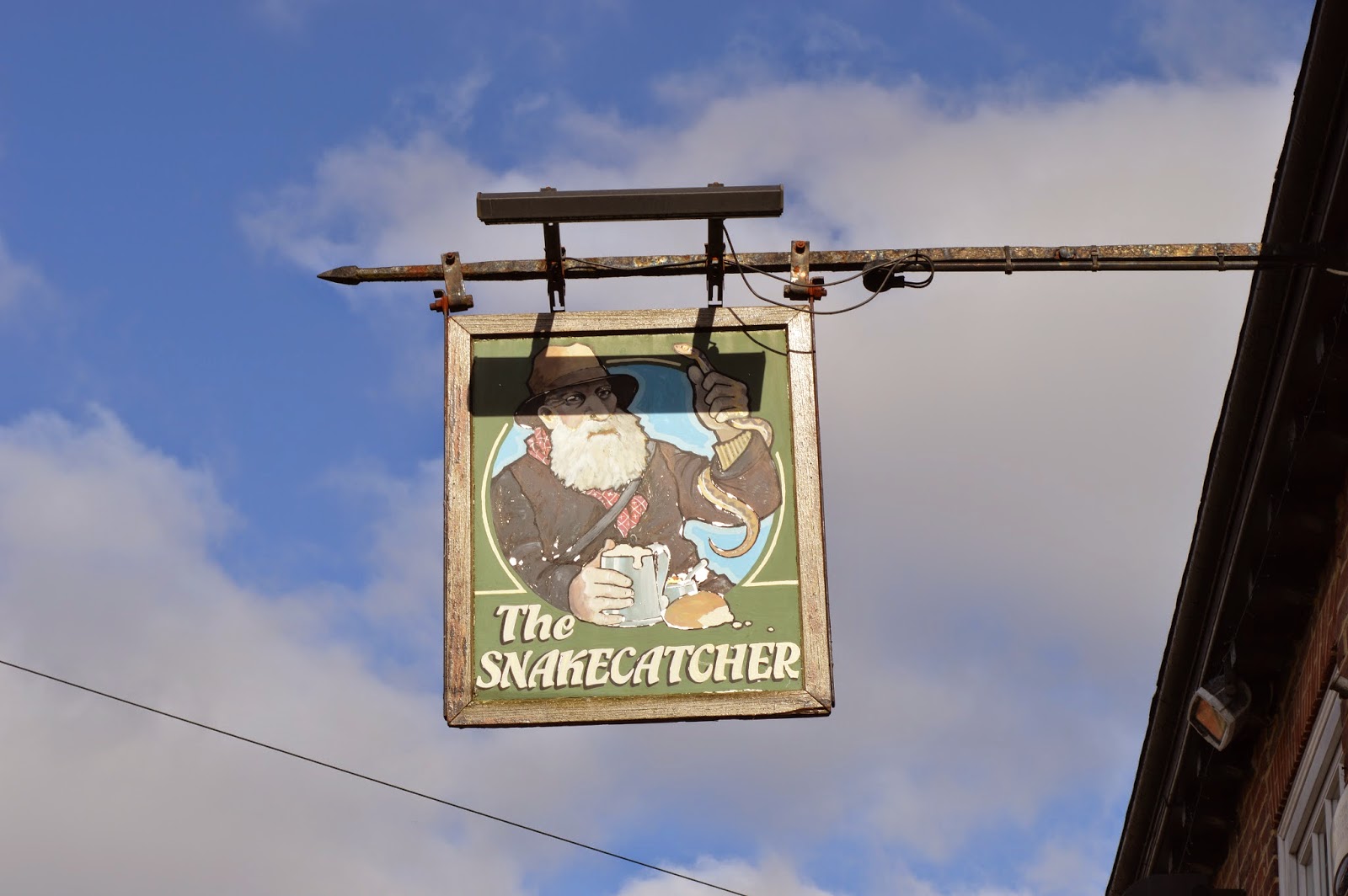 Random encounters with the unusual The New Forest Snake Catcher