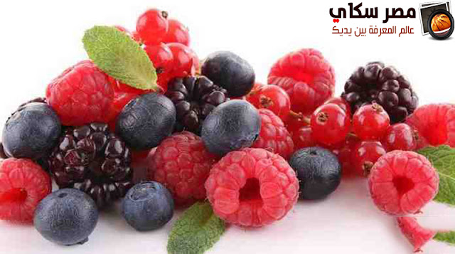 15 نبات هام ومفيد لصحة ونعومة الشعر الجزء الأول Useful plant for hair 15 نبات هام ومفيد لصحة ونعومة الشعر الجزء الأول Useful plant for hair