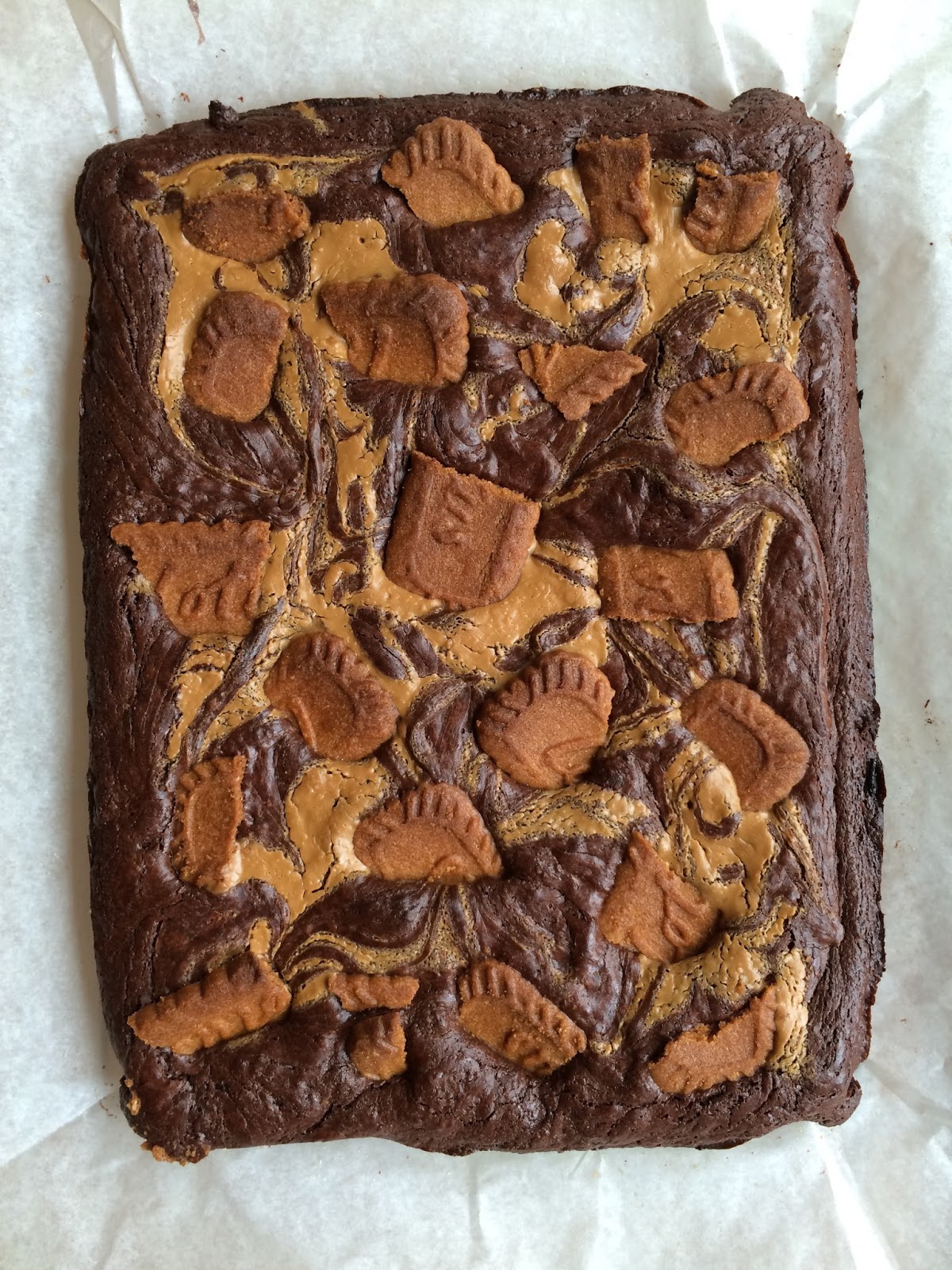 Brownie Blondie Bakes Biscoff Swirl Brownies
