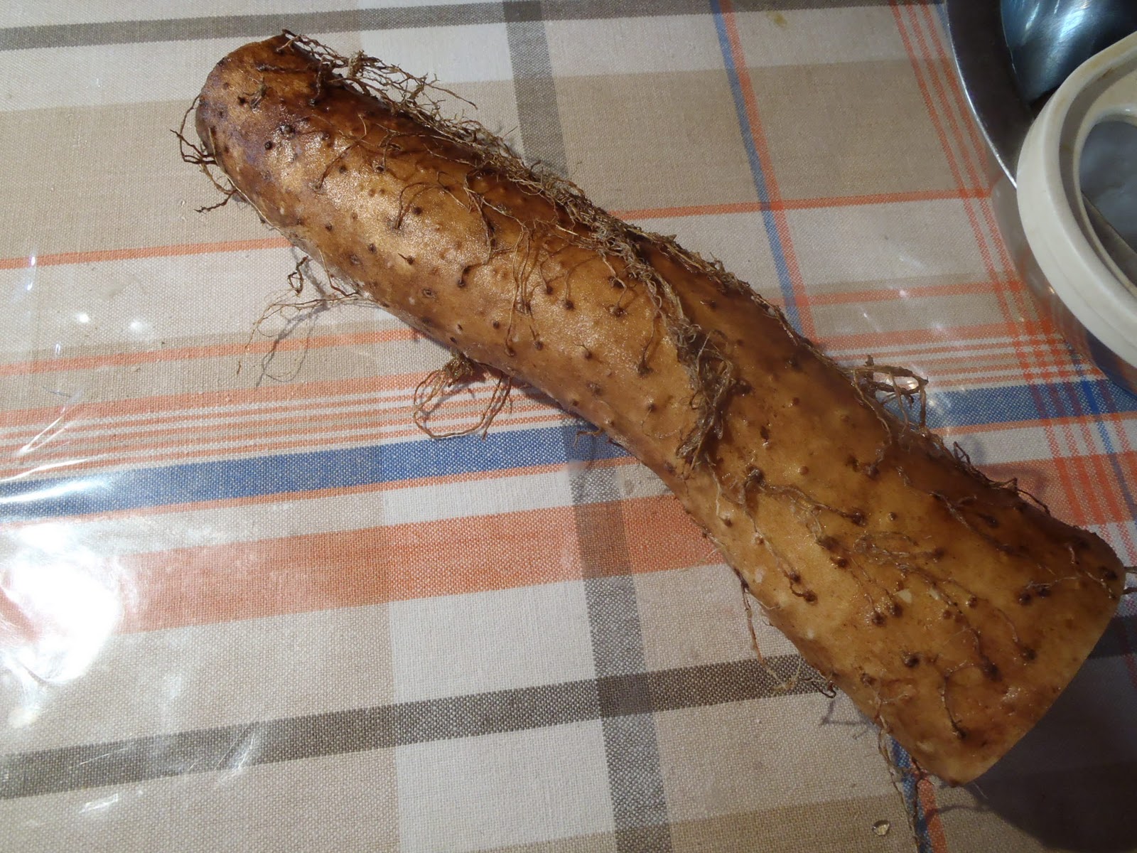 My Corner of Japan Dioscorea opposita, or Japanese Mountain Yam