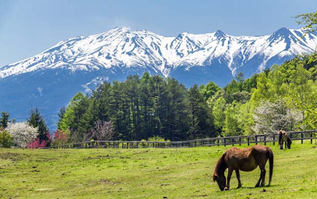 Mt Ontake 15 Recommendation Mountains to Visit in Japan