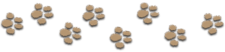 eight paw prints.