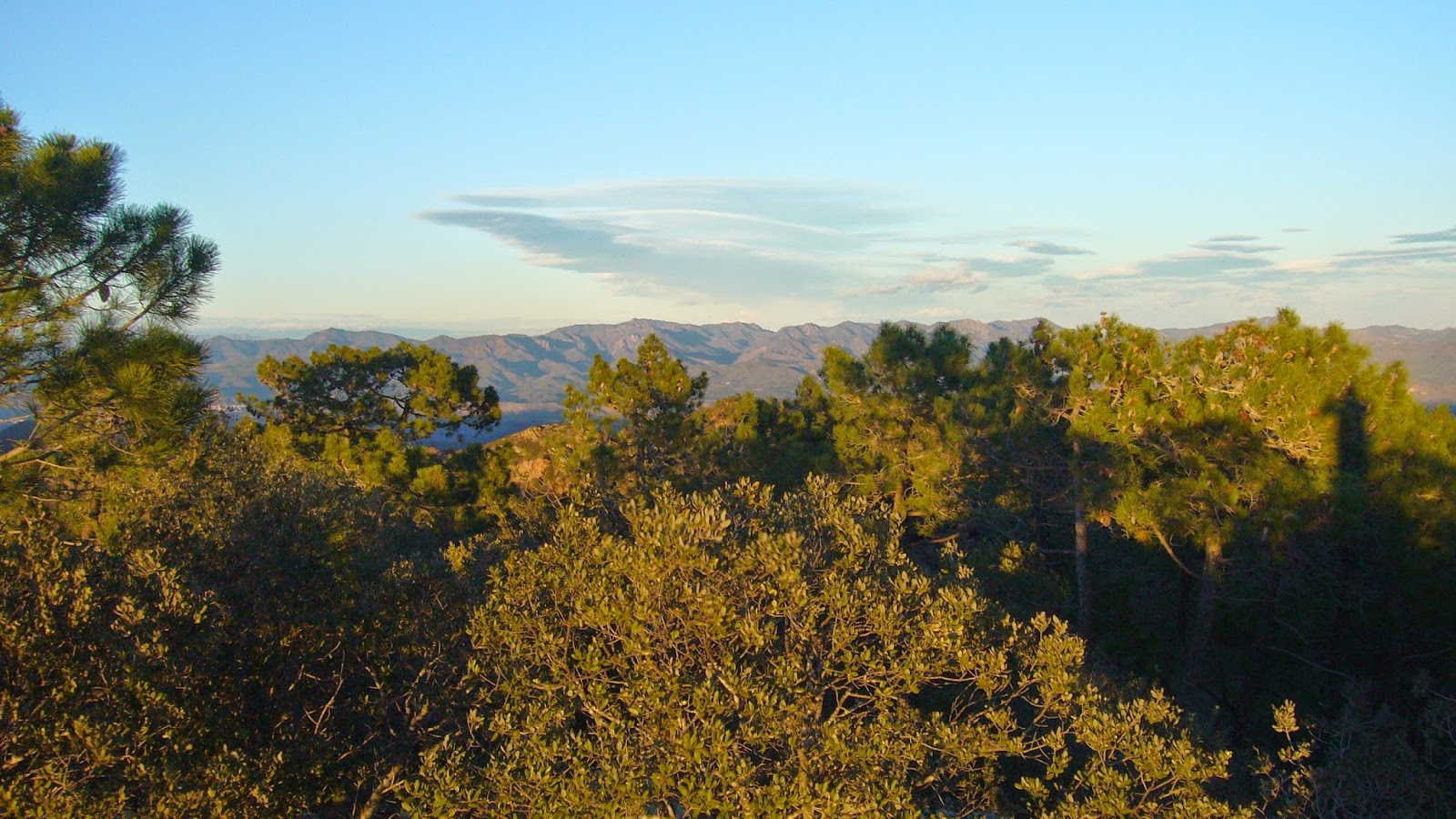 Vistas a la Sierra de Espadán desde la cima del Gorgo. Sierra de Espadán desde el Gorgo, Gátova.