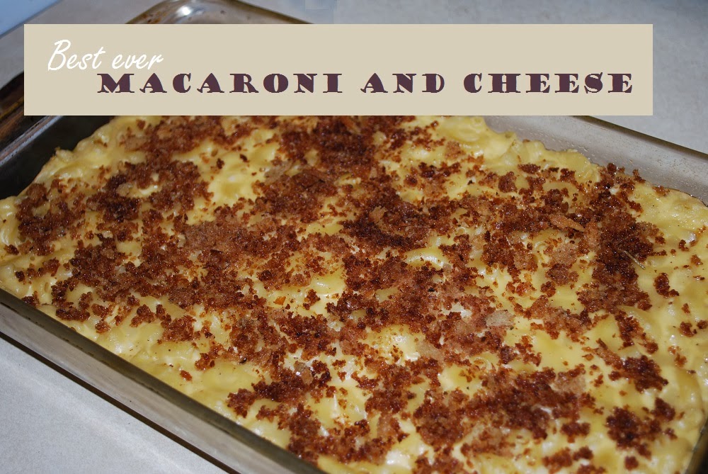How to Make Macaroni and Cheese from Scratch Oak Hill Homestead
