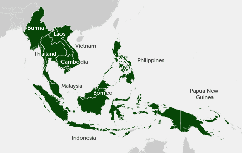 Asian Rainforest Map 107