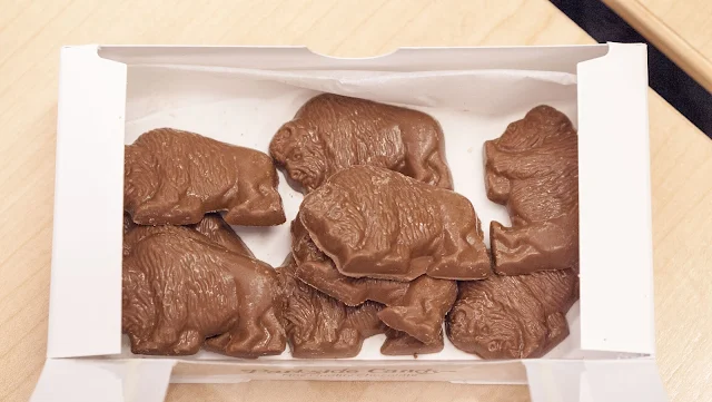 Buffalo is famous for orange chocolate buffaloes