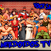 Você Sabia? - Curiosidades sobre Street Fighter - NerdoidosTV 