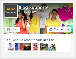 facebook feed widget Facebook Like Box Style 1