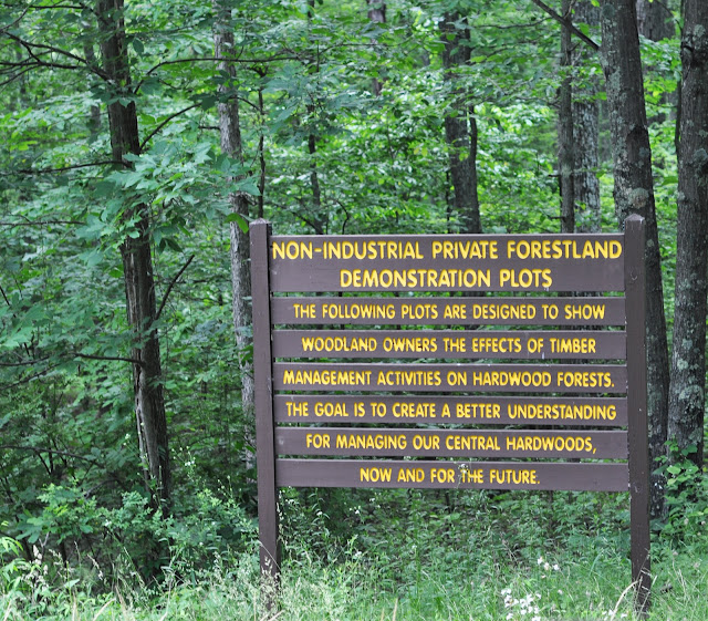 Furnace Vinton Furnace Experimental Forest