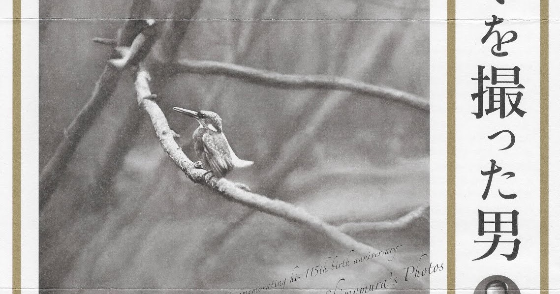 下村兼史写真展_2018年9月21日〜26日八王子バードサイト