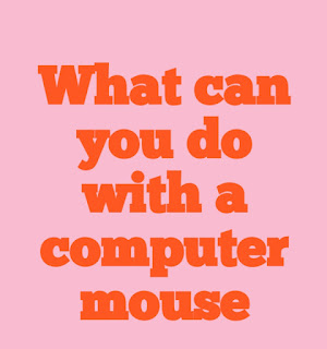 What can you do with a computer mouse