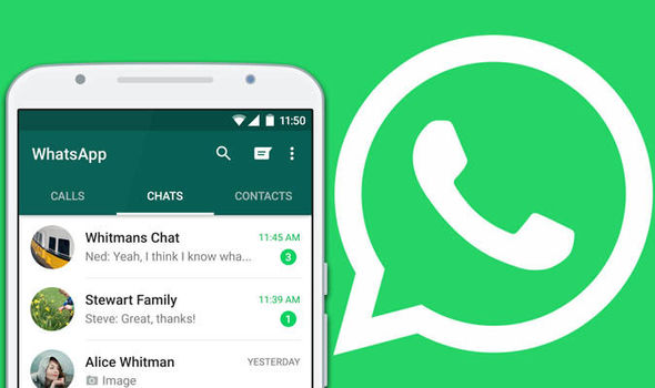 Bölüm 1: iOS kullanıcıları için WhatsApp Yedekleme Çözümleri