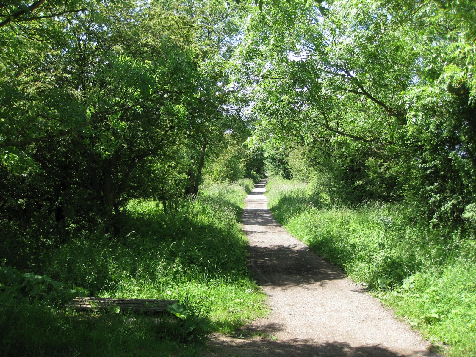 WETHERBY ADVENTURES a summer walk Wetherby to Spofforth