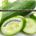 Top 5 Wonderful Health Benefits Of Cucumbers