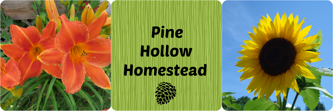 Pine Hollow Homestead