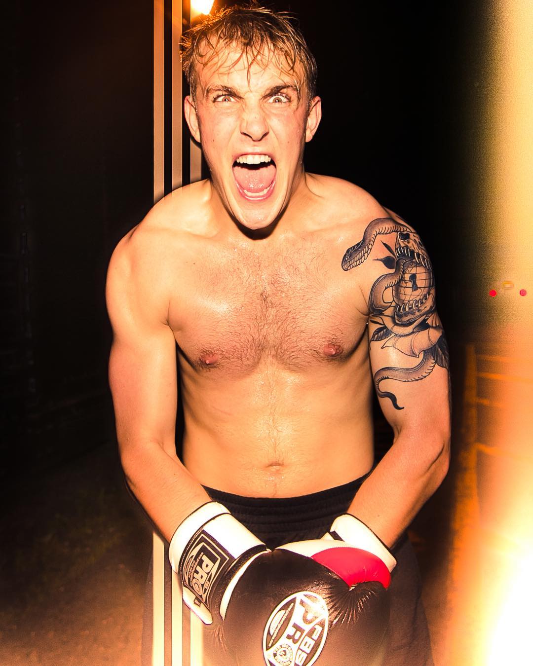 Alexis_Superfan's Shirtless Male Celebs Jake Paul shirtless IG pic
