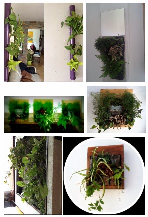curso online jardines verticales curso online jardines verticales