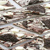 Black And White Bark Recipe