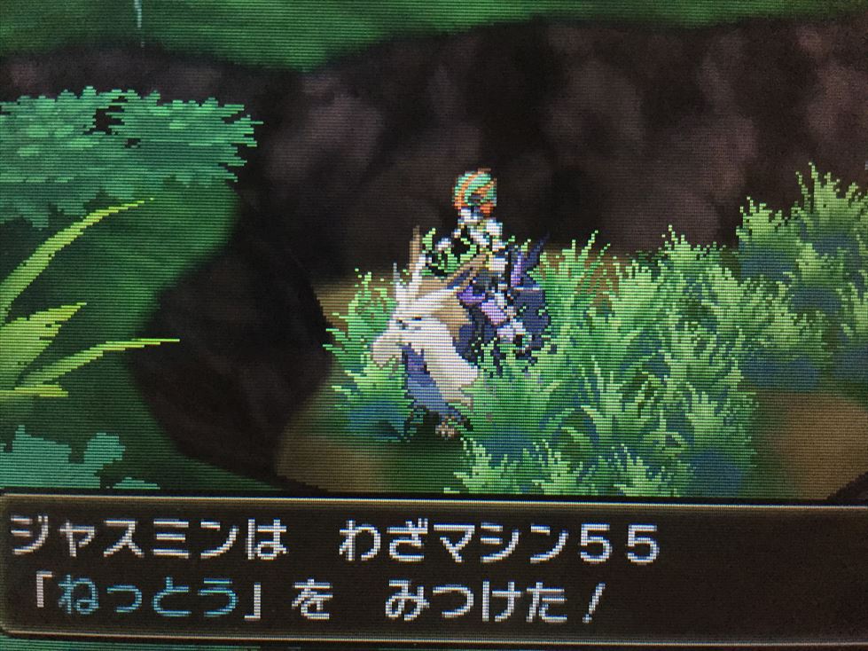 ポケさんぽ ポケットモンスター サン 5 アーカラ島 カンタイシティ スイレンの試練 3ds