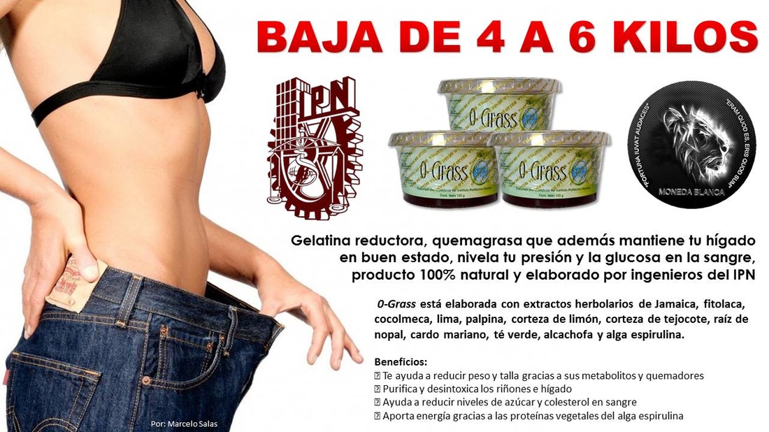 gelatina+para+adelgazar+del+politecnico