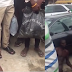 Amateur Assassin Sapele Trying To Strangle Boutique Owner In Lagos Caught - Photos/Video