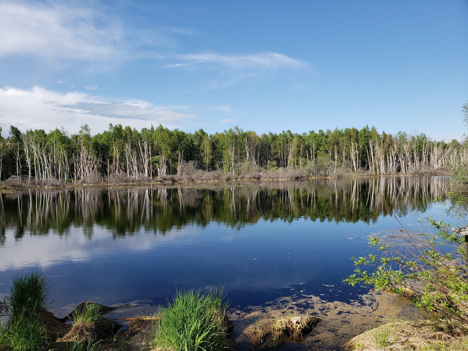 mycoach.loribranin Where to run in Fairbanks, Alaska Creamer’s Field