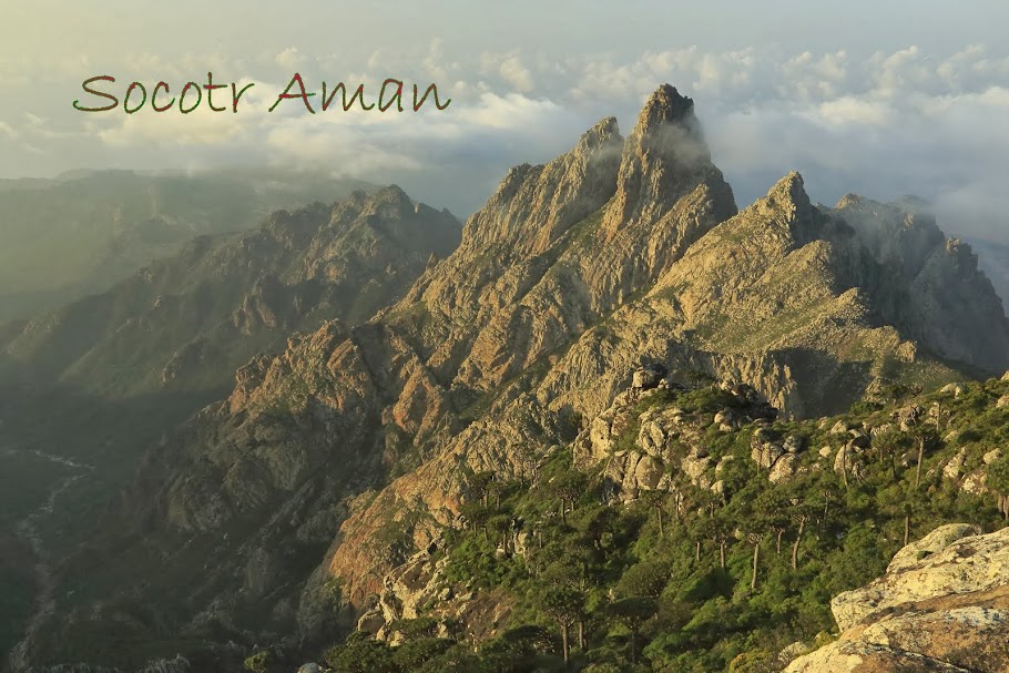 Socotr Aman