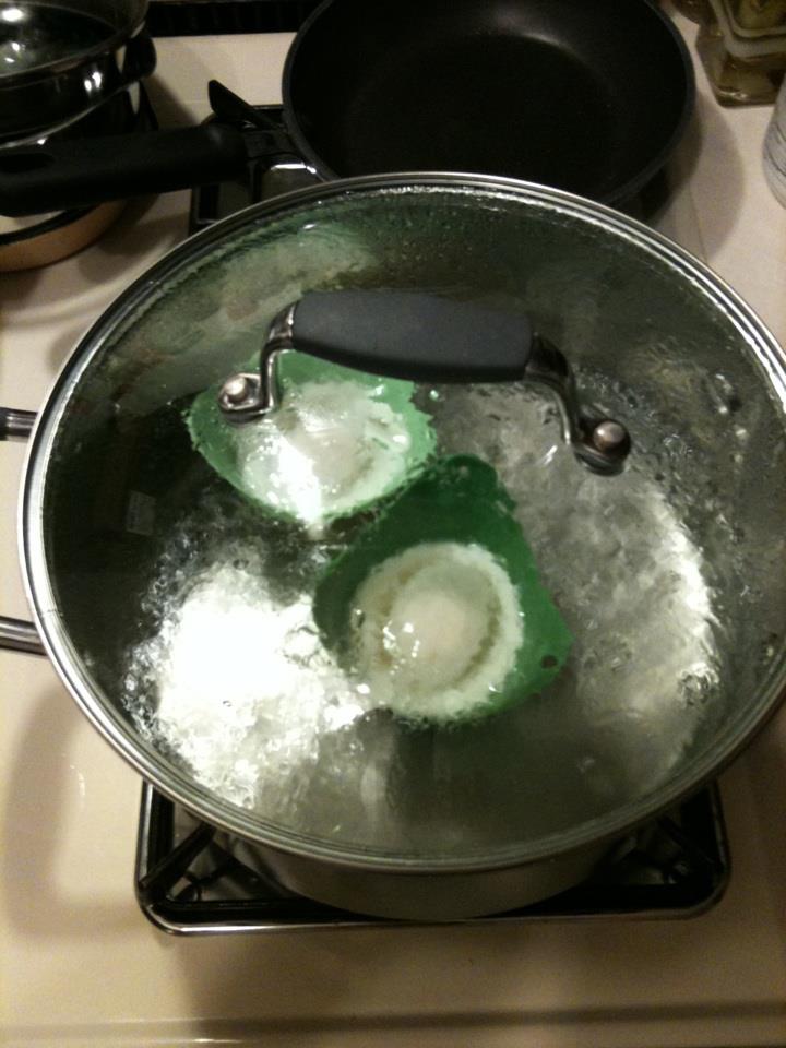 The Old Country Kitchen Fusion Brands Egg Poaching Pods