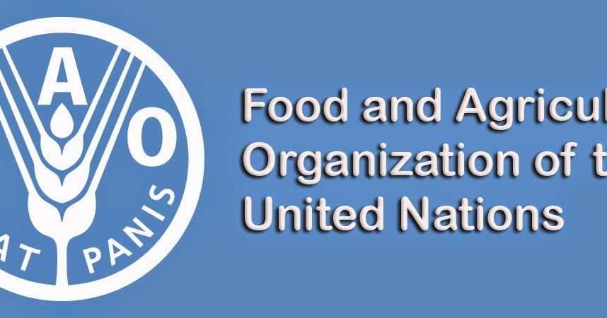 Сельскохозяйственная организация оон. ФАО. Эмблема FAO. Продовольственная и сельскохозяйственная организация ООН. ФАО ООН.