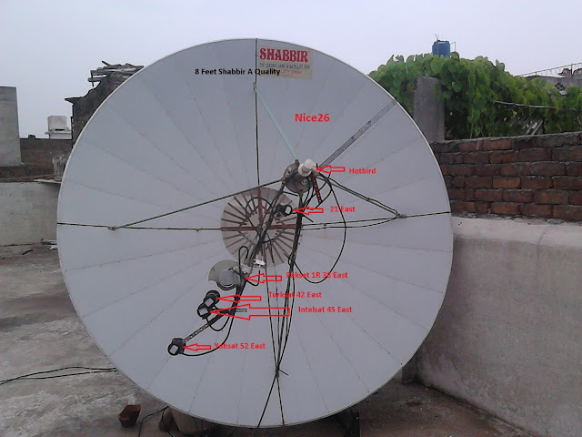 satellite channels asian Hotbird porn video 2020 Bloods and latin kings