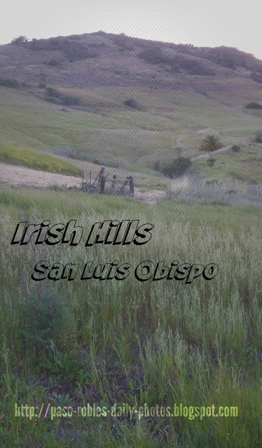 The Irish Hills of San Luis Obispo