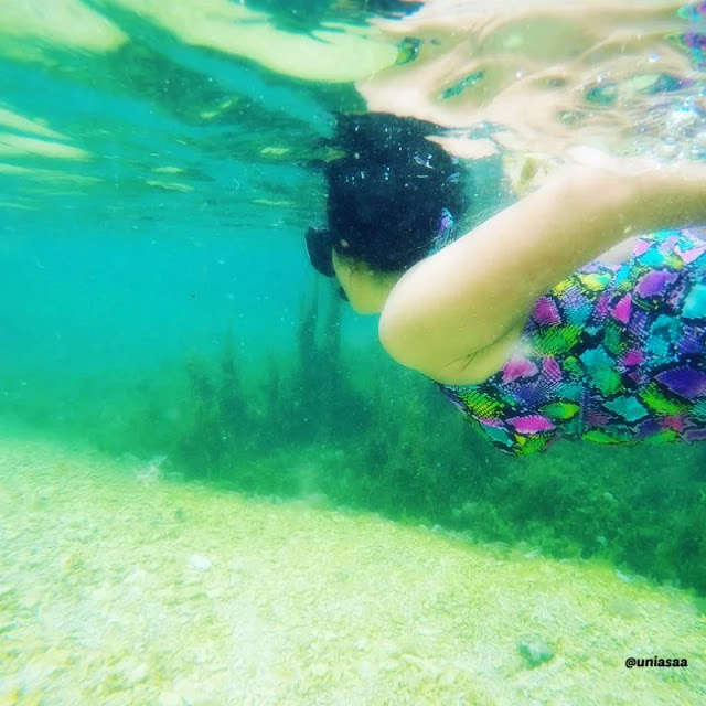 9 Keunikan Pulau Sembilan Labuan Bajo, Flores 7 Bisa snorkling di danaunya