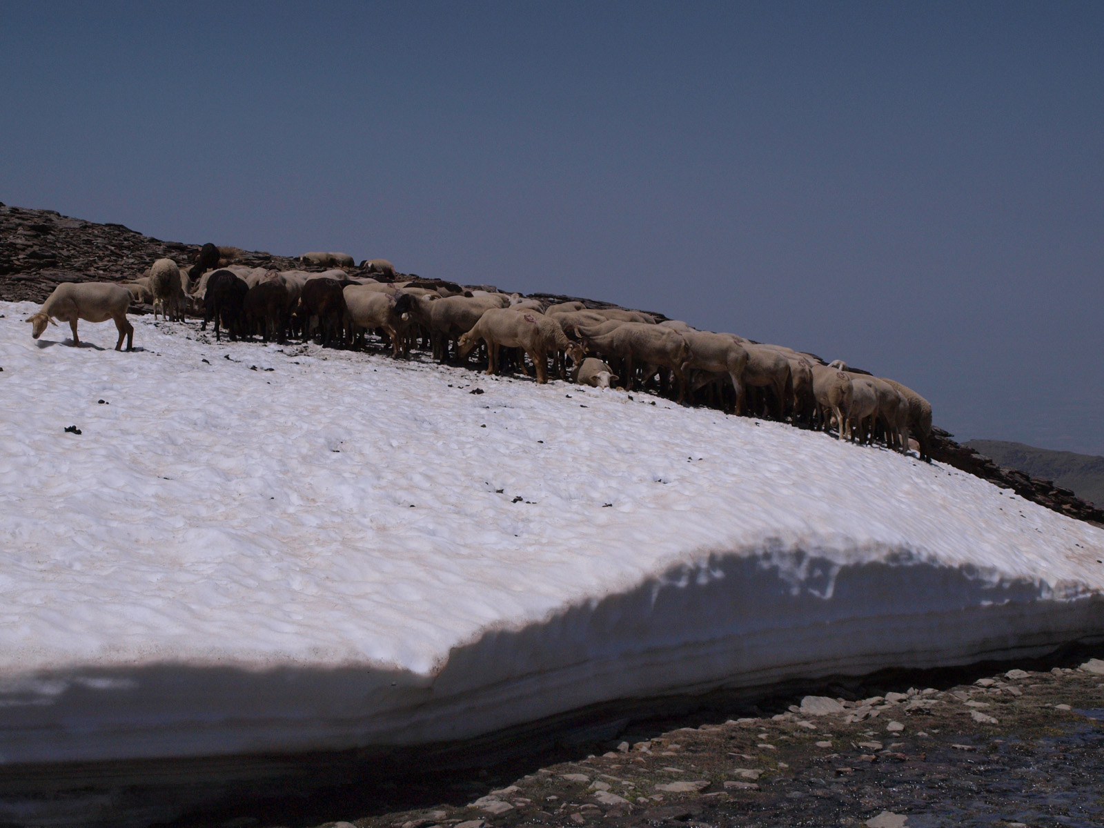 Caminando por Sierras y Calles de Andaluc\u00eda: P\u00falpito y laguna de Las ...