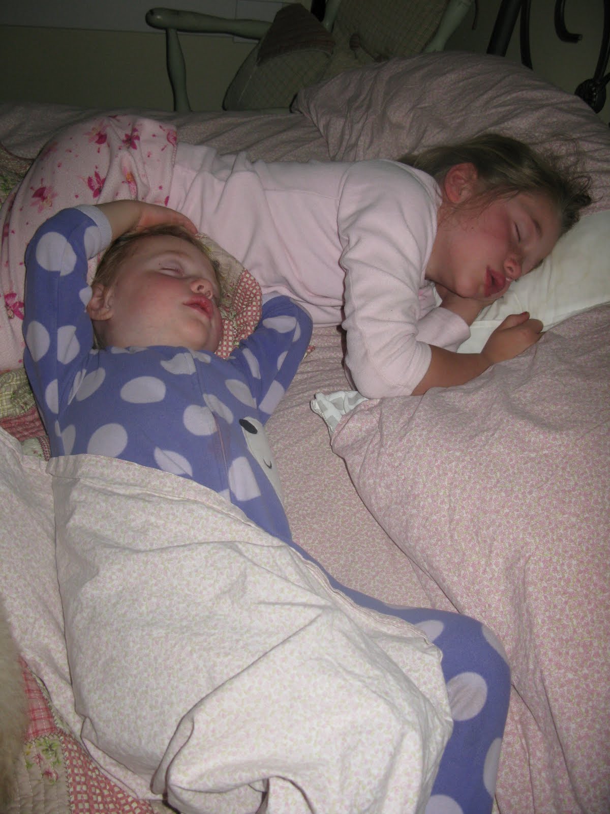 This is a time to be happy. . . bed buddies