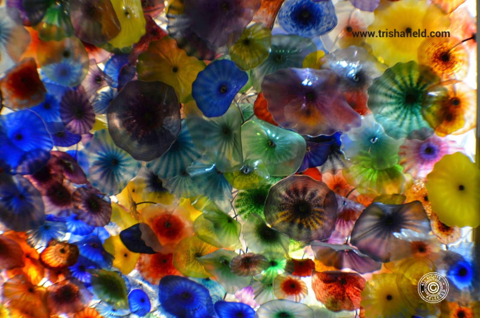 Flower Art at Bellagio, Las Vegas, Nevada