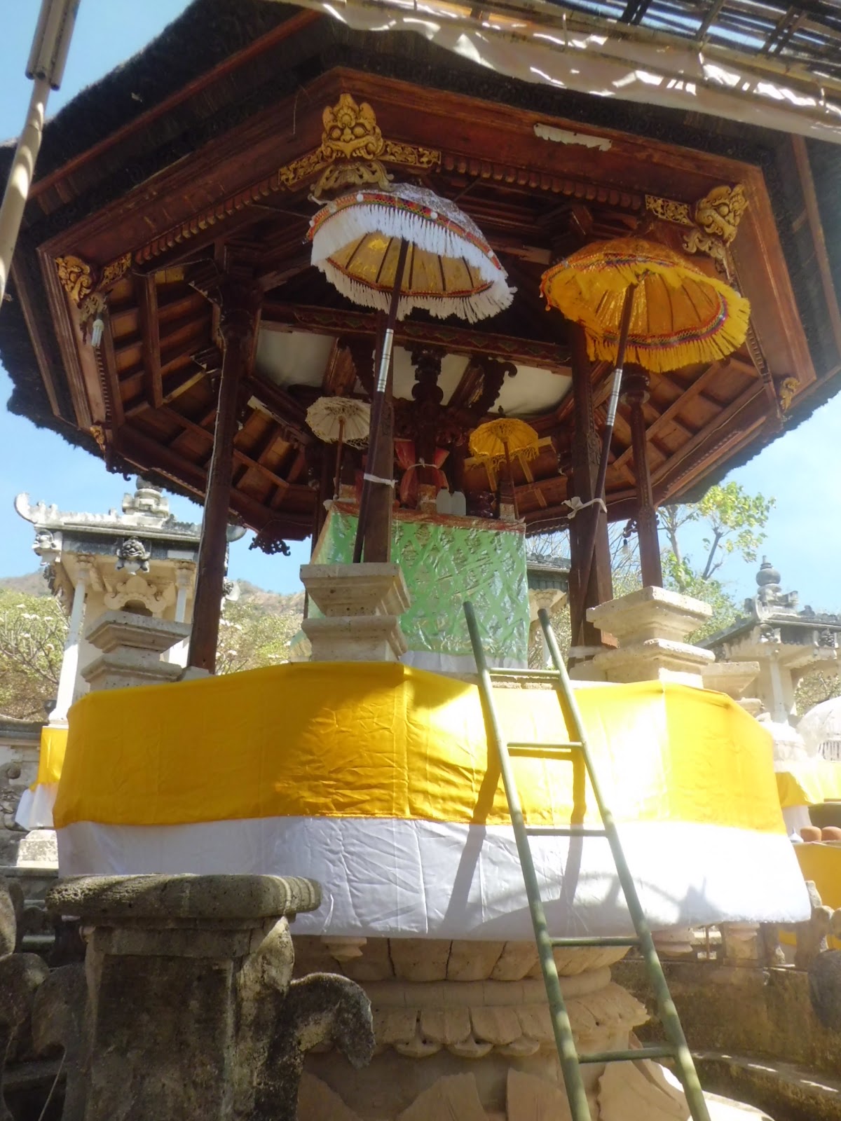 Taman Nasional Bali Barat Wayan Suyasa
