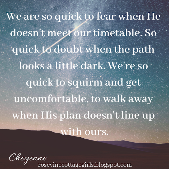 His Time His Way We are so quick to fear when He doesn't meet our timetable. So quick to doubt when the path looks a little dark. We're so quick to squirm and get uncomfortable, to walk away when His plan doesn't line up with ours.