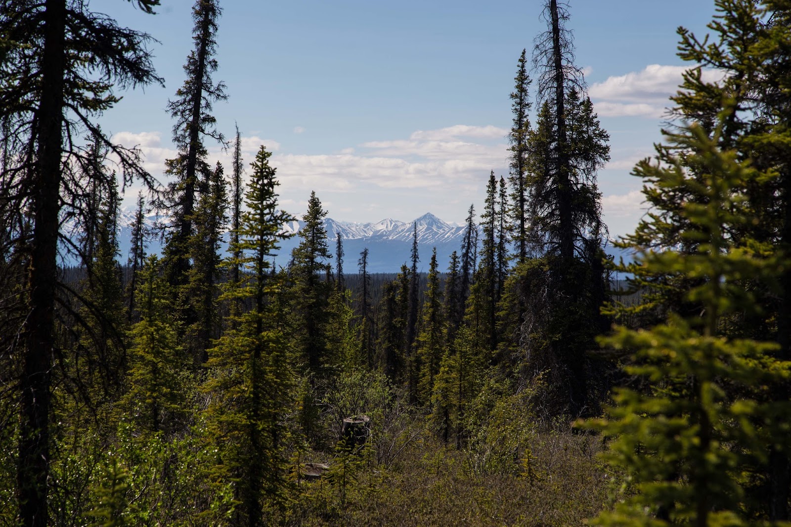 On The Road Full Time Rving Alaska Glennallen to Anchorage Via Glen