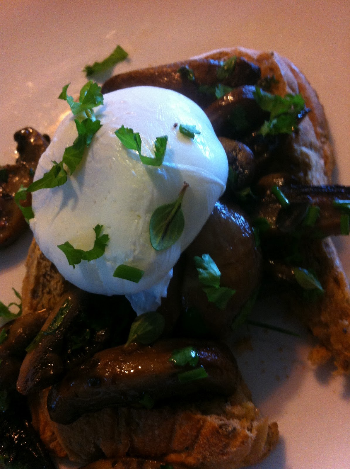 Breakfasts From A Shropshire B&B Herby Mushrooms on Granary Toast