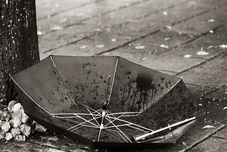 broken umbrella