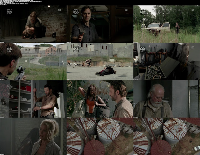 The.Walking.Dead.S03E13.720p.HDTV.x264-E