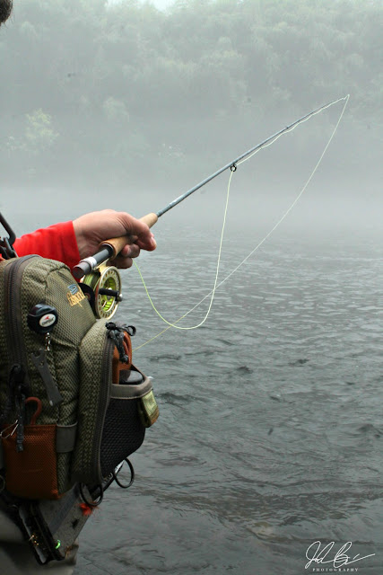 Open to both wading and drifting in a boat, the Clinch River in Anderson County, TN is considered to be one of the best trout fisheries in the United States.