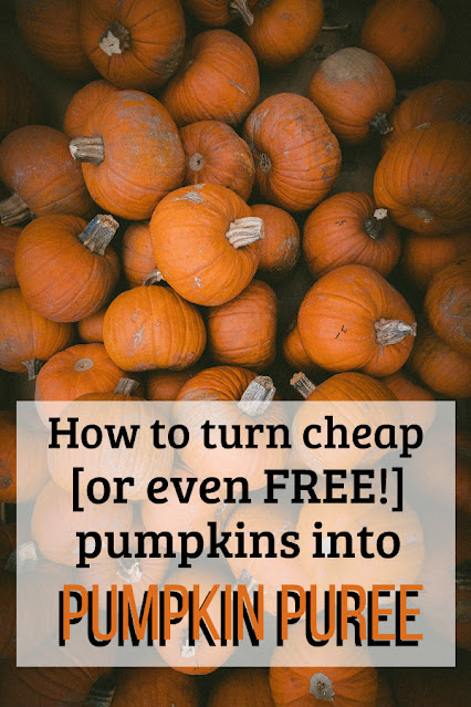 A pile of pumpkins. Text: "how to turn cheap or free pumpkins into pumpkin puree."
