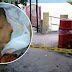 Mayat Bayi Masih Bertali Pusat Ditemui Tepi Tong Sampah