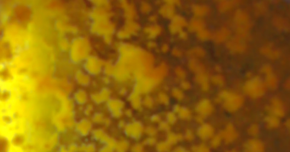 . Understandable Matter (BECs Phase 6)