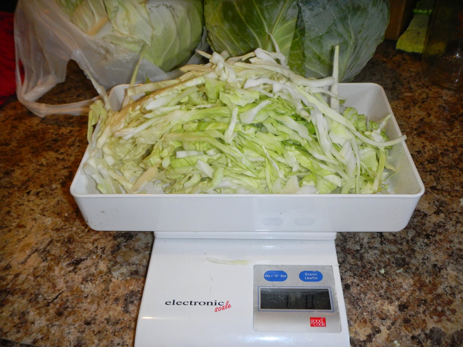 Preparedness in the Garden: The Ancient Art of Fermenting Foods